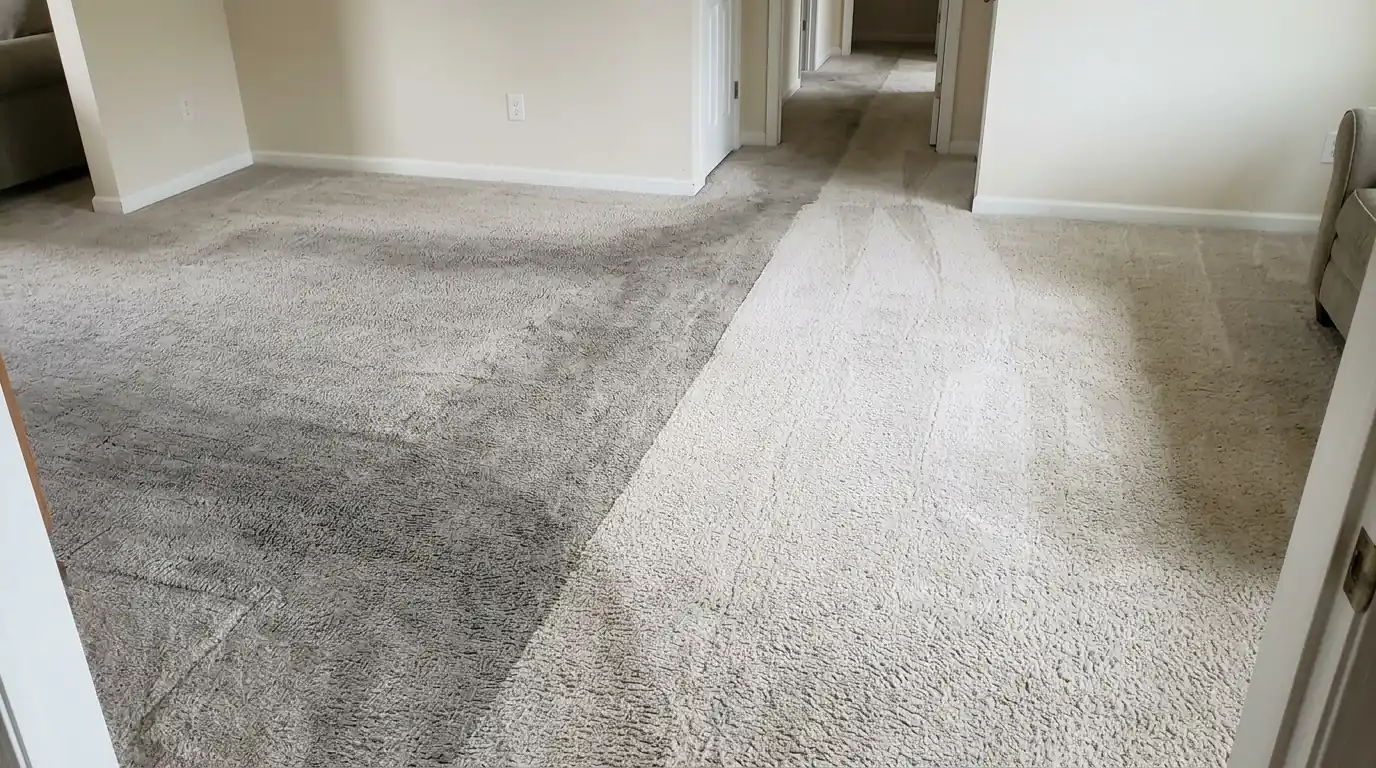 Carpet traffic lane partly cleaned to show the soil difference
