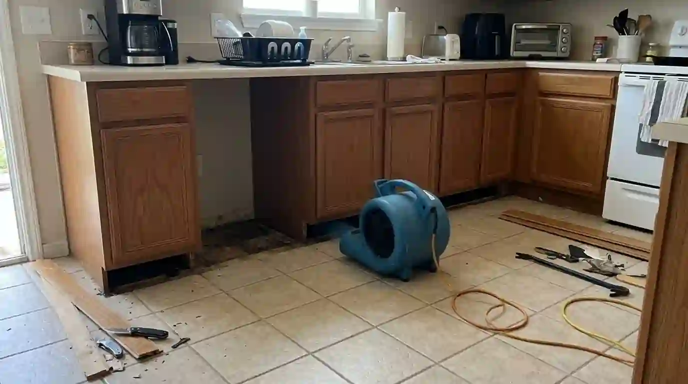 Toe kicks removed to dry water trapped under kitchen cabinets
