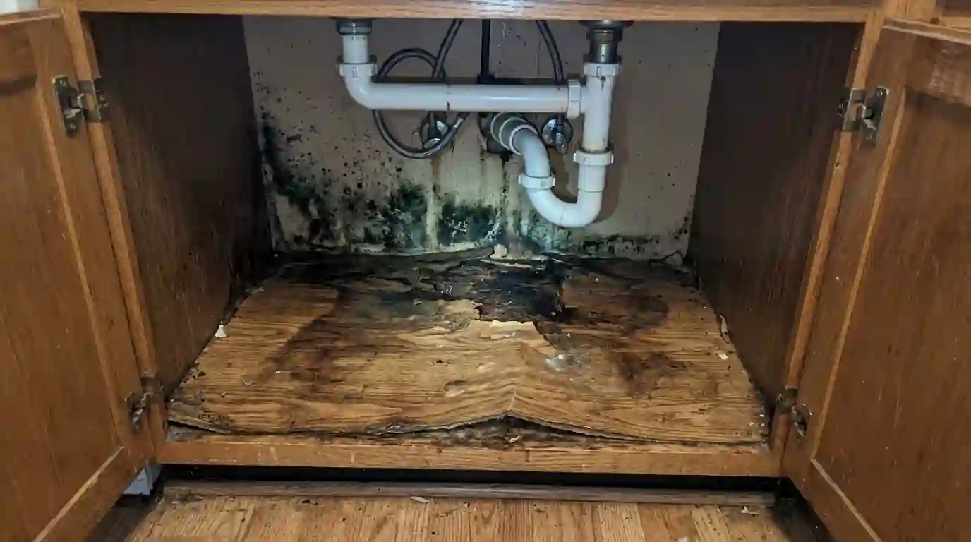 Swollen sink base cabinet with mold along the back panel