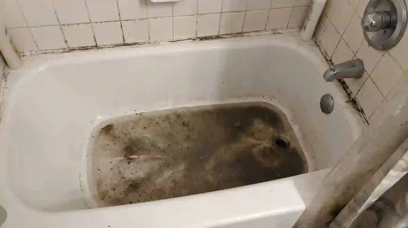 Sewage backed up into a bathtub through the drain
